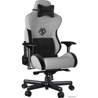 Игровое (геймерское) кресло AndaSeat T-Pro 2 (серый/черный)