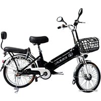 Электровелосипед Bibi EL-BI 20-12