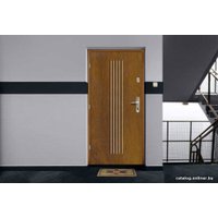 Металлическая дверь Gerda WX 10