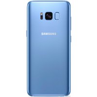 Смартфон Samsung Galaxy S8 Dual SIM 64GB (коралловый синий) [G950FD]