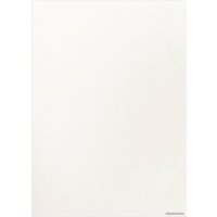 Холст для рисования BRAUBERG Art Classic 190637