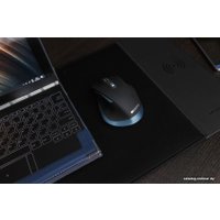 Мышь Canyon CNS-CMSW14DG
