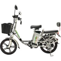 Электровелосипед GreenCamel Транк 18 V8 (R18 250Вт 60В 10Ач)