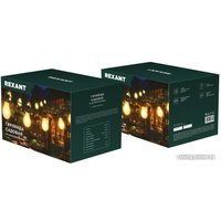 Садовая гирлянда Rexant Канэри 602-2421