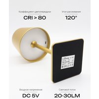 Настольная лампа TruEnergy 29001