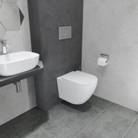 Унитаз подвесной Lauter Vortex 2110830VP