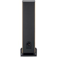 Напольная акустика Focal Aria Evo X №4 (черный/орех) в Пинске