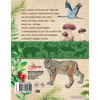 Книга издательства АСТ. Рассказы о природе (Пришвин Михаил Михайлович)