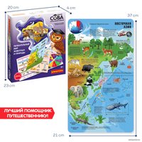 Детская настольная игра Bondibon Увлекательный мир животных и природы ВВ5551