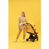 Коляска прогулочная «книга» Anex Air-x 2022 (yellow)