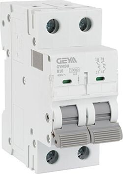 

Выключатель автоматический GEYA GYM9H-2P-10B 2P 10A B 10kA 2M GYM9H2P10B