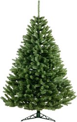 Swierk Gesty 2.2 м