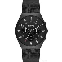 Наручные часы Skagen Grenen SKW6822