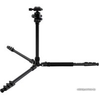 Трипод Raylab Pro 65 (с головой)