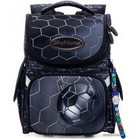 Школьный рюкзак SkyName 2066