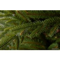 Ель GreenTerra Скандинавская 1.5 м