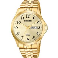 Наручные часы Citizen Quartz BF5002-99P