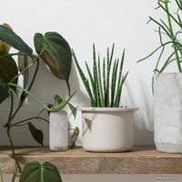 Датчик Redmond (Редмонд) SkyClimate RSC-51S в Гомеле