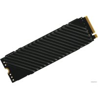 SSD Digma Top G3 2TB DGST4002TG33T