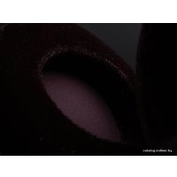 Наушники Philips Fidelio X1