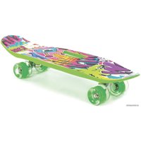 Пенниборд Полесье 89540 65 см (светло-зеленый)