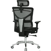 Офисное кресло Evolution ERGO Mesh (черный)