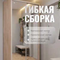Шкаф-купе Рэйгрупп 120450 BBX Elgon РГ-06.04 (белый премиум/белый премиум/хром)