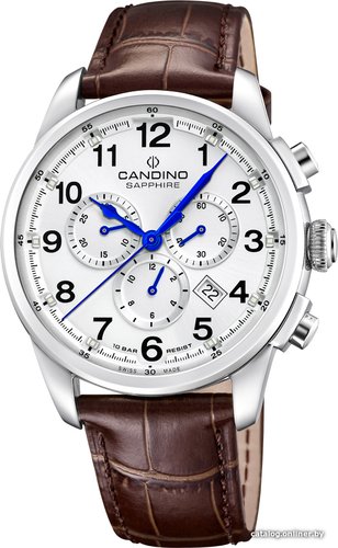 Наручные часы Candino C4745/1