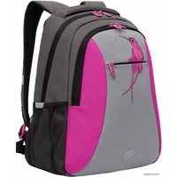 Школьный рюкзак Grizzly RD-242-4/2 (темно-серый/фуксия)