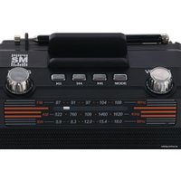 Радиоприемник Soundmax SM-RD2114UB