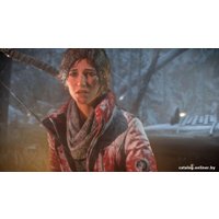 Компьютерная игра PC Rise of the Tomb Raider