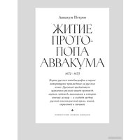 Набор книг издательства Альпина Диджитал. Полка. О главных книгах русской литературы (Сапрыкин Ю. и др.)