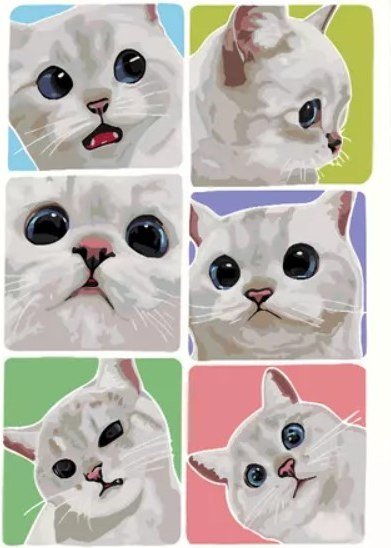 

Картина по номерам PaintLine Эмоции белого котика PL-00310