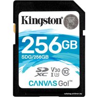 Карта памяти Kingston Canvas Go! SDG/256GB SDXC 256GB