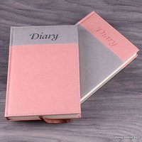Ежедневник Darvish DV-11596