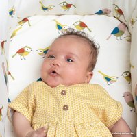 Универсальная коляска Cosatto Giggle Trail (3 в 1, birdland)