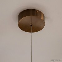 Подвесная люстра L'Arte Luce U-light L38902.71