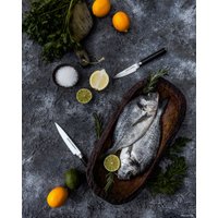 Кухонный нож Samura Damascus SD-0021