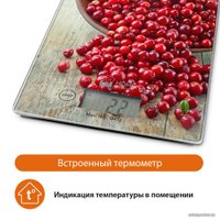 Кухонные весы Home Element HE-SC935 (брусничная россыпь)
