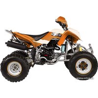 Квадроцикл IRBIS ATV 250S