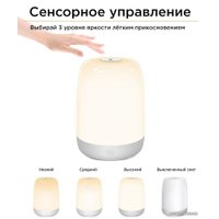 Ночник Evolution A100