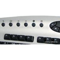 Клавиатура Chicony KB-0350