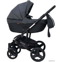 Универсальная коляска Ray Corsa Ecco (2 в 1, 27)