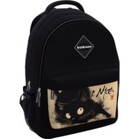 Школьный рюкзак Erich Krause EasyLine 20L Blur Cat 62820