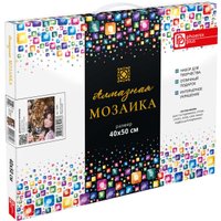 Алмазная мозаика  Феникс+ Девушка и леопард 70861