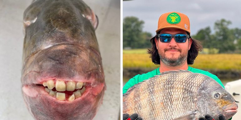 Fishermen Photographs Gross Creatures He Discovers in the Sea - Business Insider