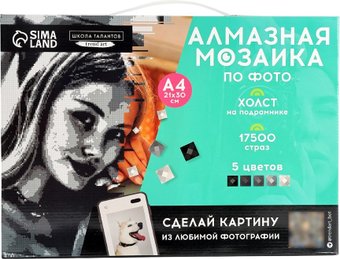 Алмазная мозаика  Школа талантов Gray 10699405