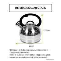 Чайник со свистком TimA WTK250