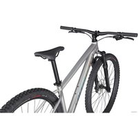 Велосипед Specialized Rockhopper Expert 29 L 2021 (глянцевый серебристый)