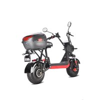 Электроскутер White Siberia Mini R 2.0 1200W (черный) в Гродно